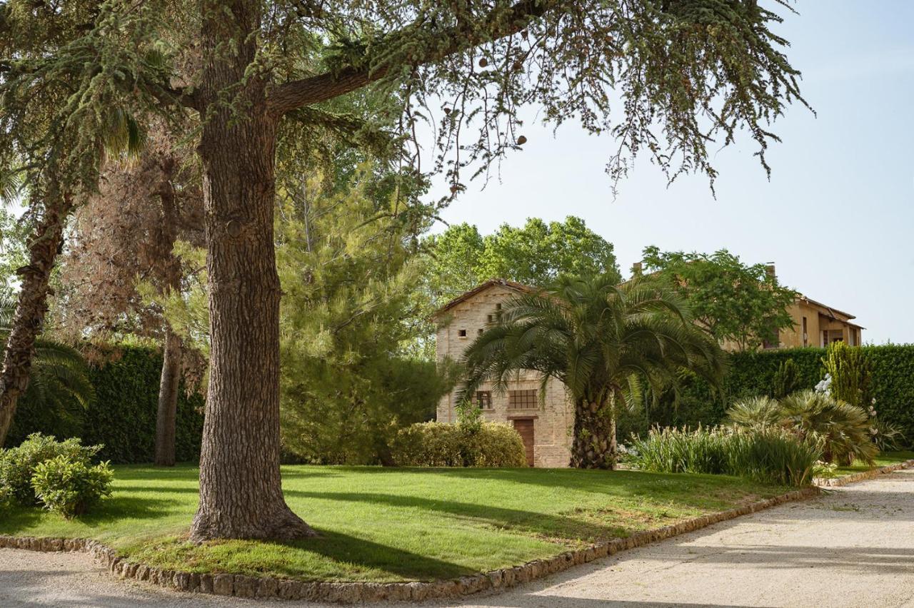 Villa Corallo Sant'Omero Eksteriør billede